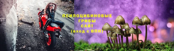 2c-b Алзамай