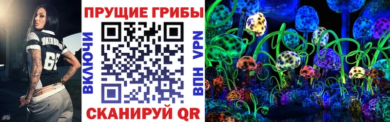 Галлюциногенные грибы GOLDEN TEACHER  наркота  omg зеркало  Анива 